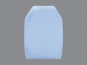 Moldcare pillow